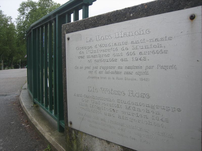 © Nguyễn Tấn Đại