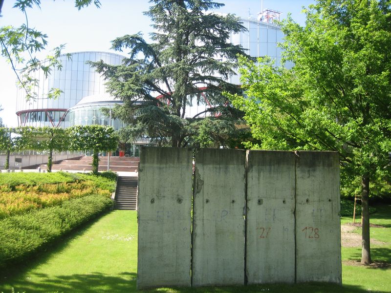 © Nguyễn Tấn Đại