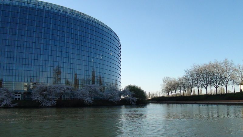 © Nguyễn Tấn Đại