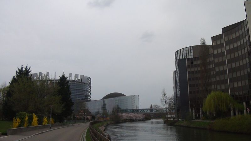 © Nguyễn Tấn Đại