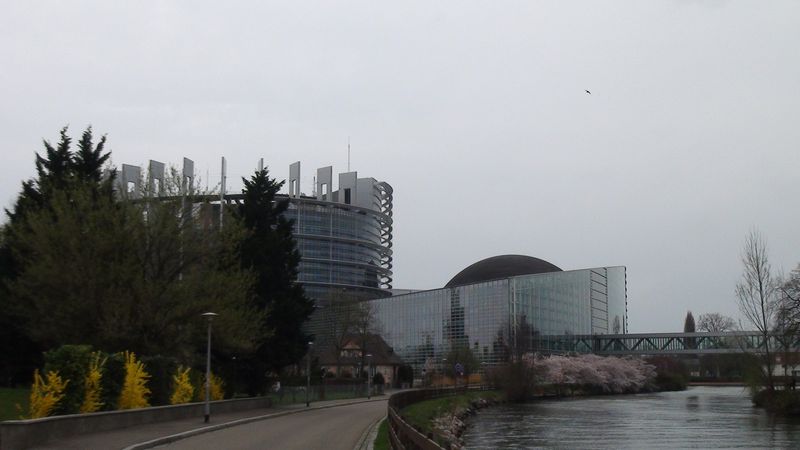 © Nguyễn Tấn Đại