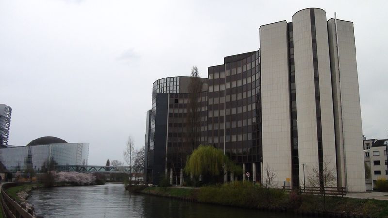 © Nguyễn Tấn Đại