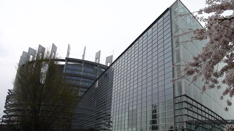 © Nguyễn Tấn Đại