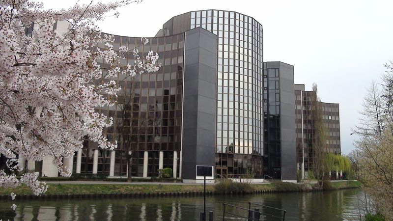 © Nguyễn Tấn Đại