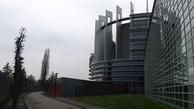 © Nguyễn Tấn Đại