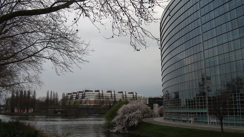 © Nguyễn Tấn Đại