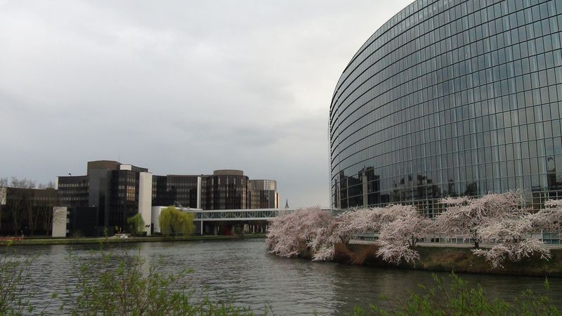 © Nguyễn Tấn Đại