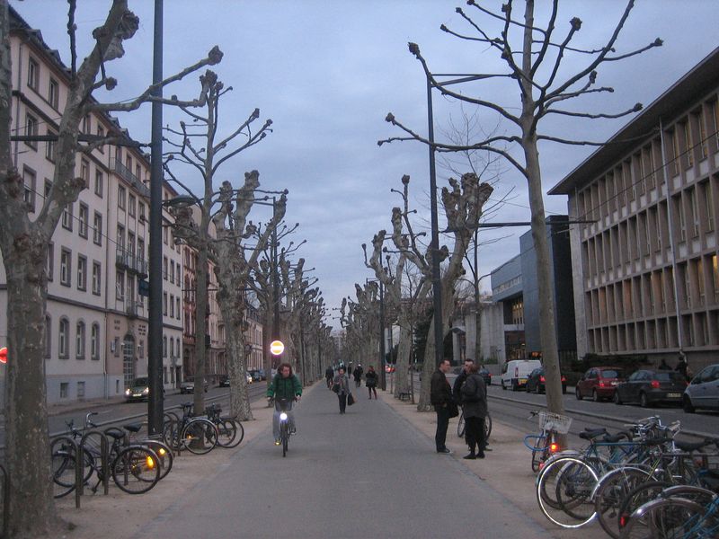 © Nguyễn Tấn Đại