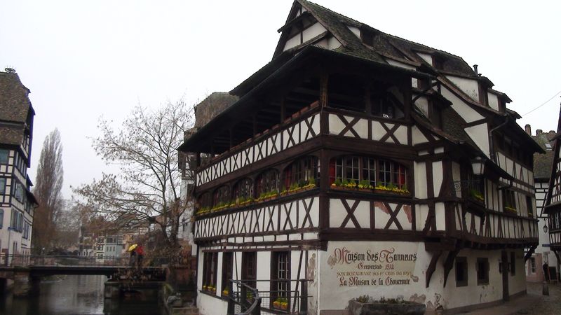 © Nguyễn Tấn Đại