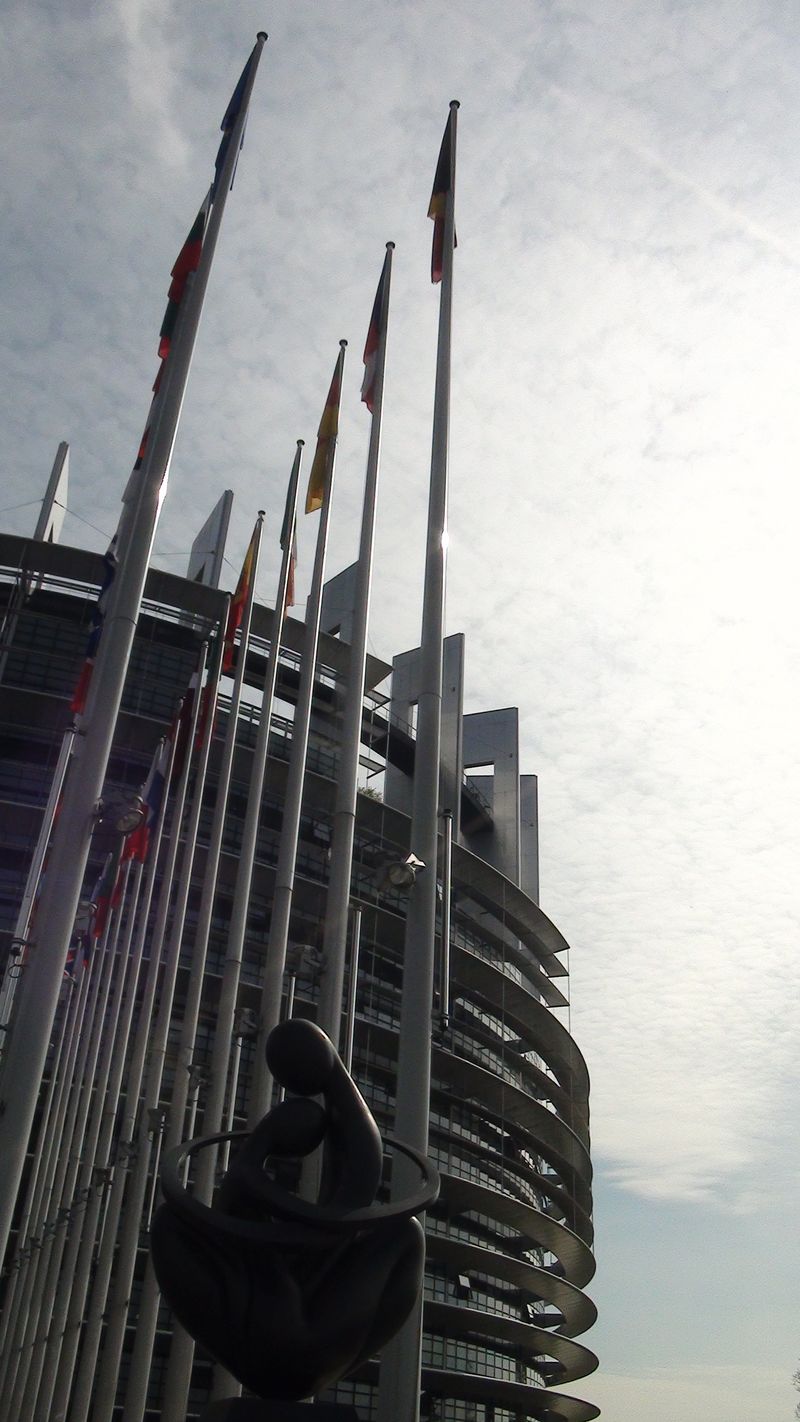 © Nguyễn Tấn Đại